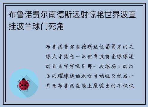 布鲁诺费尔南德斯远射惊艳世界波直挂波兰球门死角 布鲁诺费尔南德斯远射惊艳世界波直挂波兰球门死角