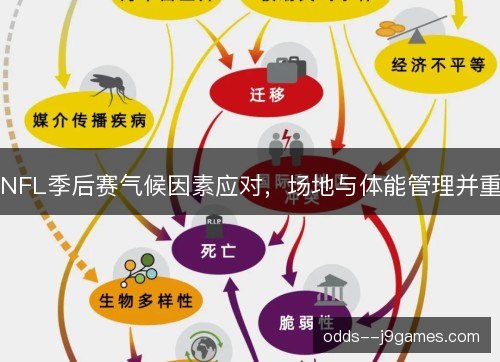 NFL季后赛气候因素应对，场地与体能管理并重